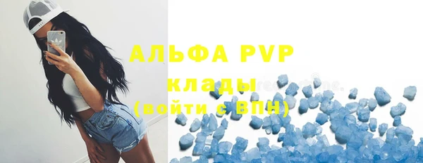 PSILOCYBIN Михайлов