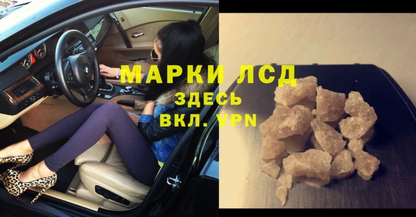 PSILOCYBIN Михайлов