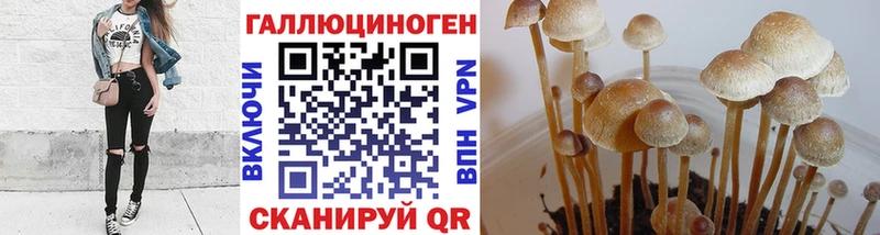 Купить закладки  Арсеньев  Галлюциногенные грибы Psilocybine cubensis 